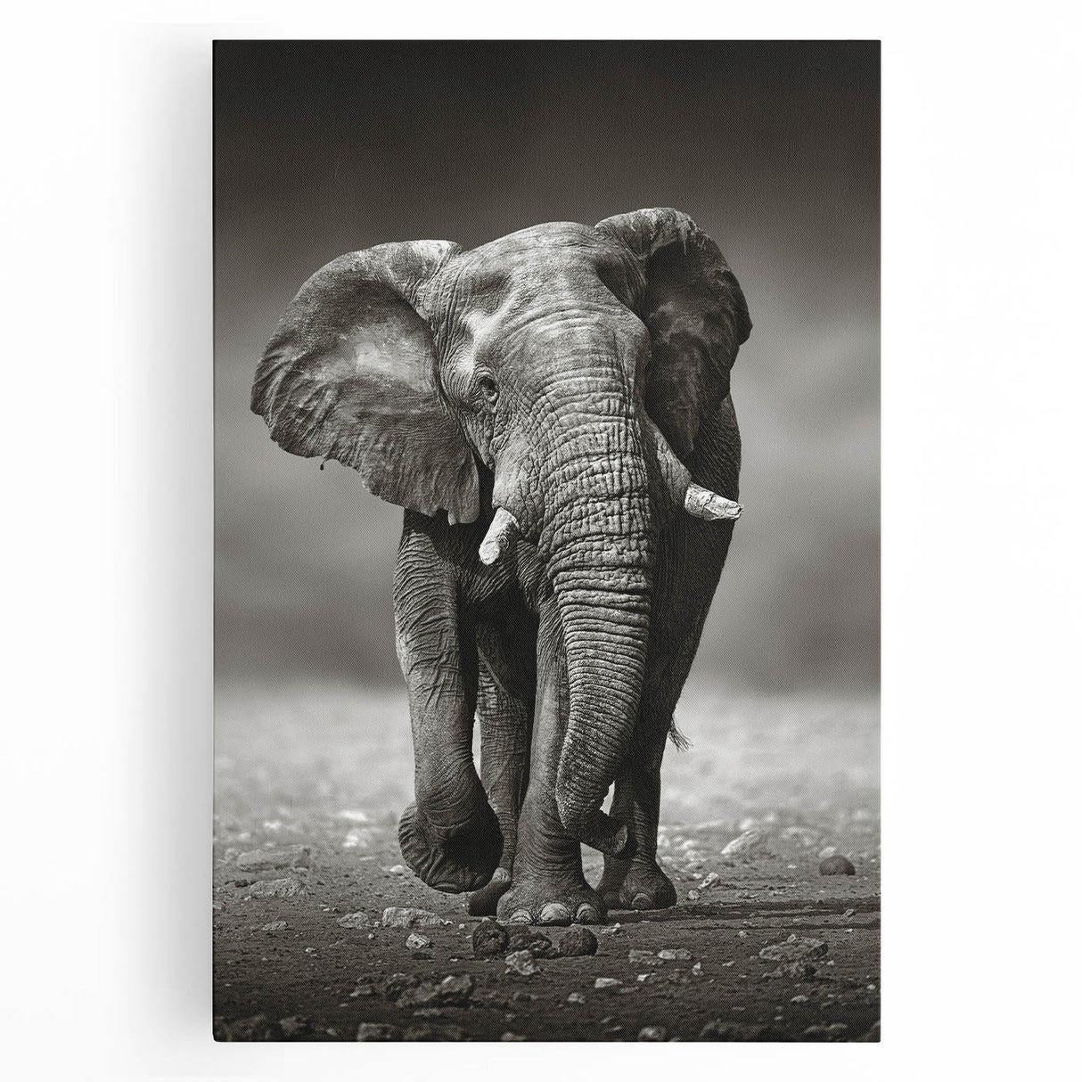 Stretched canvas wall art featuring a striking front view of an elephant, showcasing intricate details and natural colors, perfect for wildlife enthusiasts.