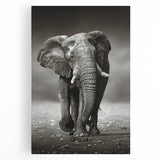 Stretched canvas wall art featuring a striking front view of an elephant, showcasing intricate details and natural colors, perfect for wildlife enthusiasts.