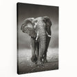 Side view of a majestic elephant wall art design on stretched canvas, showcasing intricate details and vibrant colors, perfect for wildlife enthusiasts and home decor.