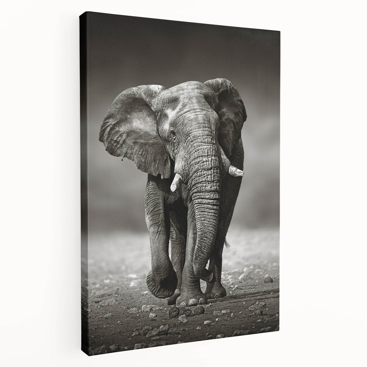 Side view of a majestic elephant wall art design on stretched canvas, showcasing intricate details and vibrant colors, perfect for wildlife enthusiasts and home decor.