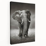 Side view of a majestic elephant wall art design on stretched canvas, showcasing intricate details and vibrant colors, perfect for wildlife enthusiasts and home decor.