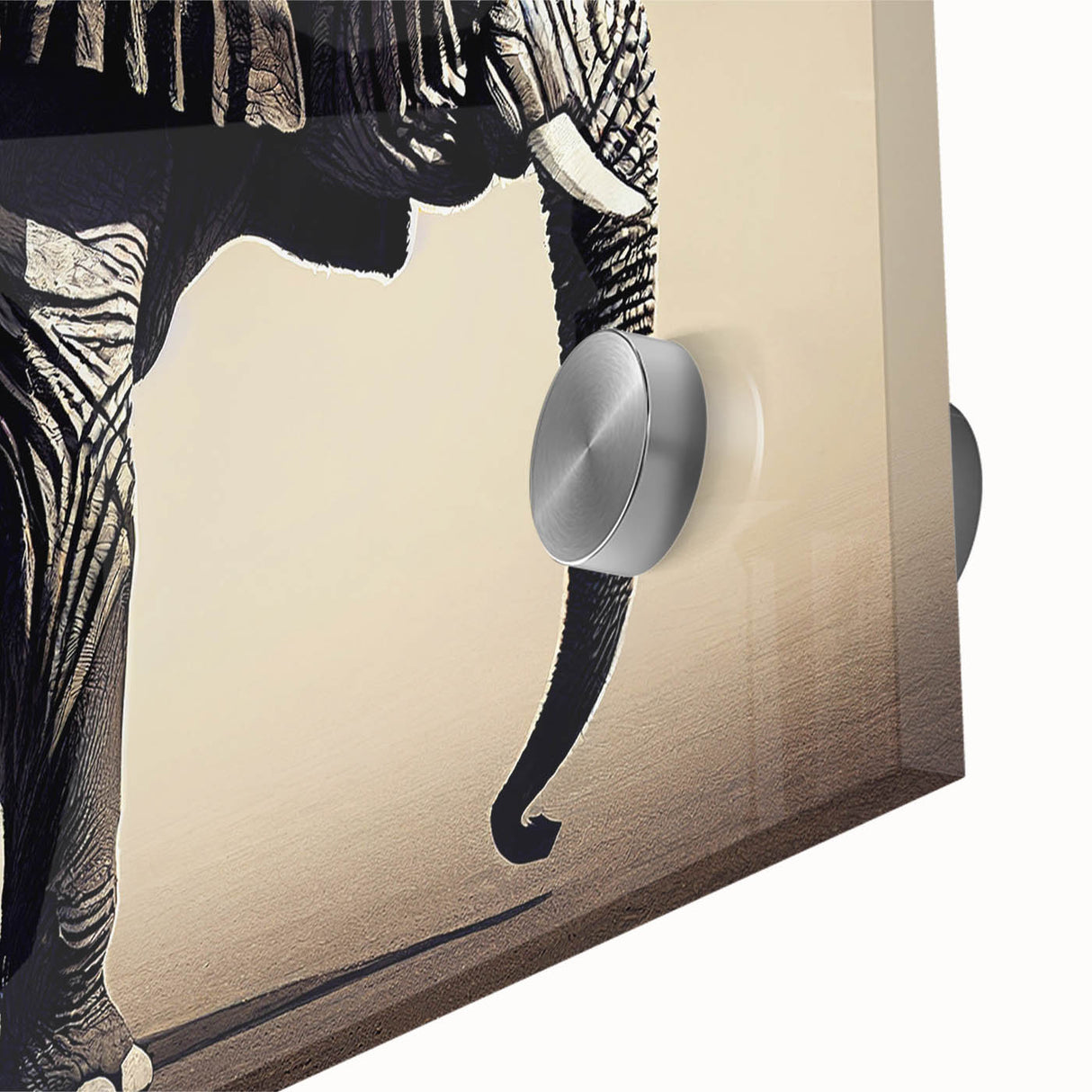 Close-up of an acrylic glass wall art piece showcasing a vibrant elephant design, capturing intricate details and textures, perfect for wildlife-themed decor.