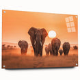 Acrylic wall art collection showcasing a detailed side view of a majestic elephant design, featuring vibrant colors and a modern aesthetic, perfect for wildlife enthusiasts.