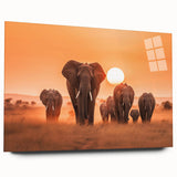 Acrylic wall art featuring a side view of a majestic elephant design, showcasing intricate details and vibrant colors, perfect for wildlife enthusiasts and home decor.