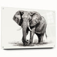 Acrylic glass wall art showcasing a majestic elephant design, featuring vibrant colors and intricate details, ideal for wildlife enthusiasts and home decor.