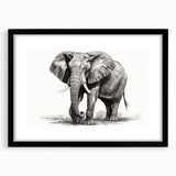 Framed wall art featuring a striking elephant design in a black mat, ideal for wildlife enthusiasts. Perfect decor for homes or offices, showcasing nature's beauty.