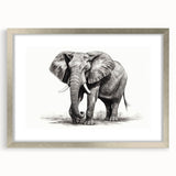 Elephant wall art collection featuring a silver frame and mat, showcasing a vibrant design of wildlife, perfect for nature enthusiasts and modern decor.