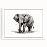 Elephant-themed wall art collection framed in white with a mat, showcasing a striking design of wildlife in vibrant colors, ideal for animal lovers and home decor.