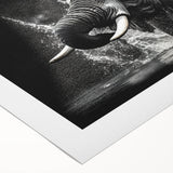 Vibrant rolled canvas showcasing a majestic elephant design, part of a wildlife wall art collection, ideal for adding an exotic touch to home decor.