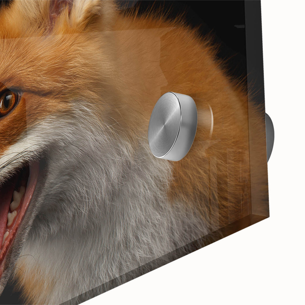 Close-up of a striking acrylic glass wall art featuring a vibrant fox design, showcasing intricate details and rich colors that capture the beauty of wildlife. Ideal for enhancing any modern living space or office decor.