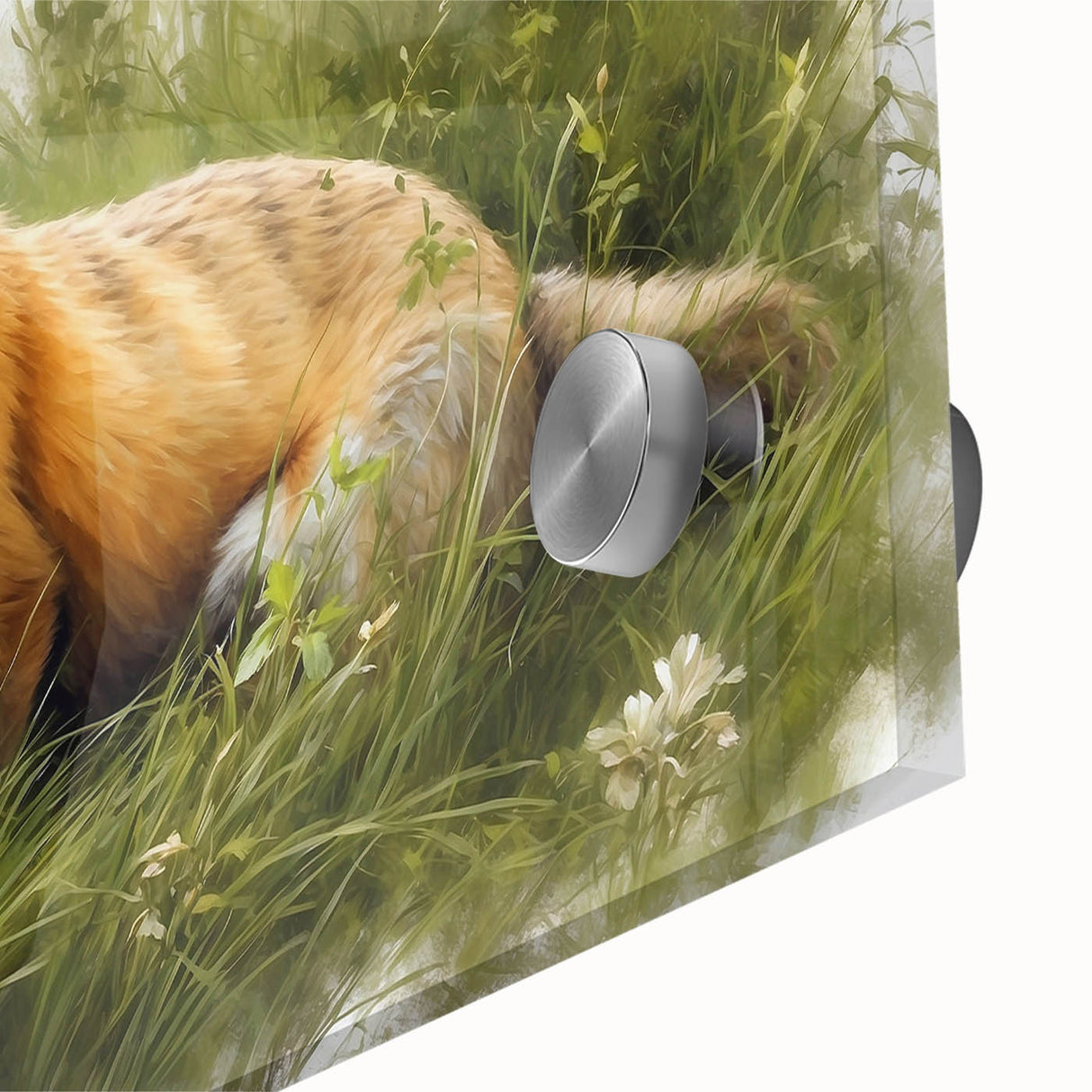 Close-up of a vibrant acrylic glass wall art featuring a fox design, showcasing detailed textures and colors, perfect for animal lovers and contemporary decor.