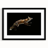 Framed wall art featuring a sleek black mat and a striking fox design, perfect for adding a touch of wildlife elegance to modern home decor.