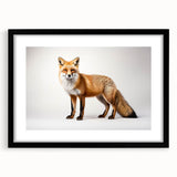 Framed black wall art featuring a striking fox design with a white mat, ideal for wildlife enthusiasts and modern decor. Perfect for adding a touch of nature to any room.