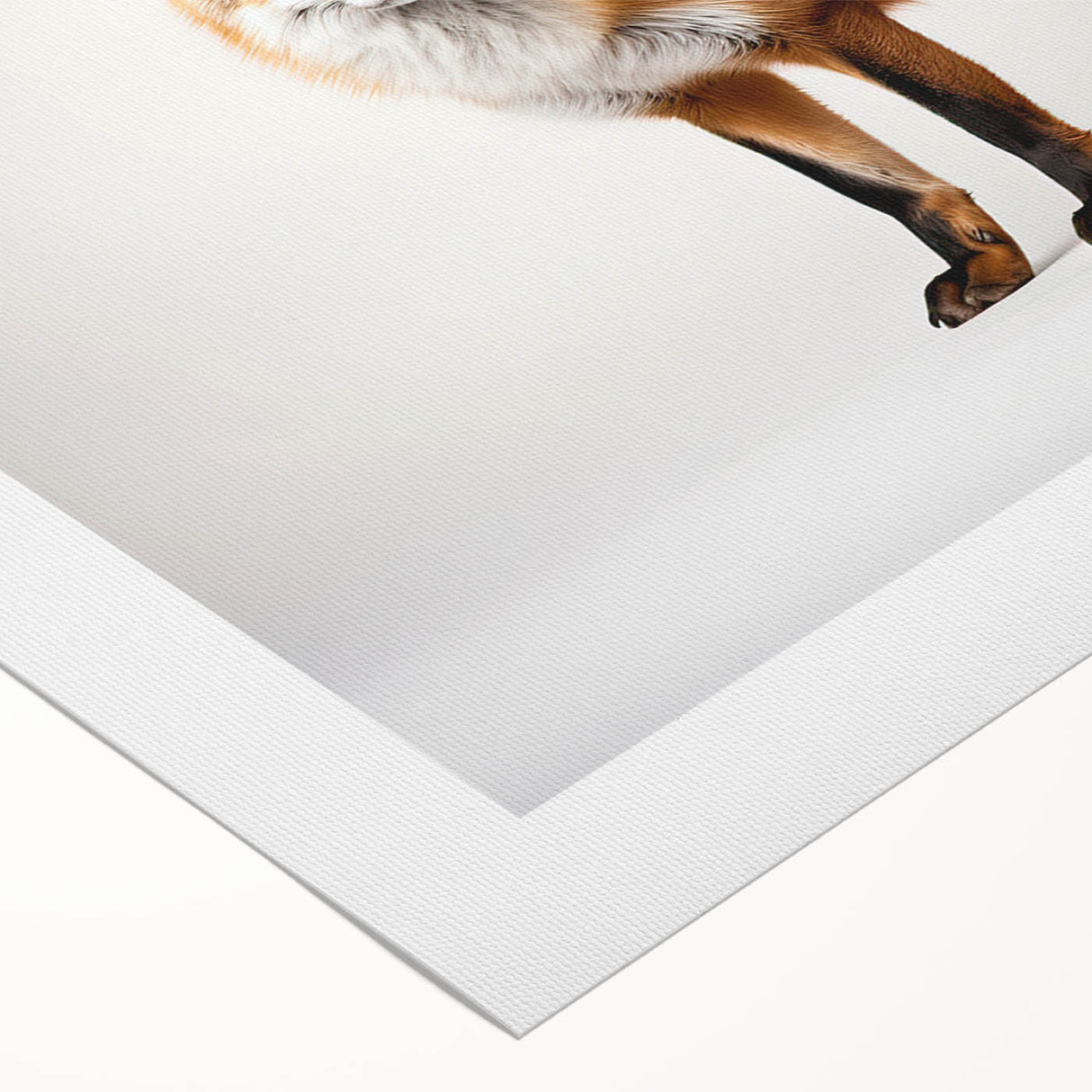 Vibrant rolled canvas featuring a beautifully illustrated fox design from the Animals A Wild Life collection, showcasing intricate details and rich colors for a striking wall art piece.