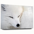 Acrylic wall art featuring a side view of a vibrant fox design, showcasing intricate details and colors, ideal for animal lovers and modern decor.