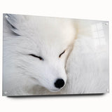 Acrylic wall art featuring a side view of a vibrant fox design, showcasing intricate details and colors, ideal for animal lovers and modern decor.