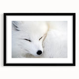 Framed wall art featuring a sleek black mat showcasing a vibrant fox design, perfect for adding a modern touch to wildlife-themed decor in any room.