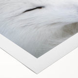 Vibrant rolled canvas showcasing a whimsical fox design in a wild life theme, ideal for animal lovers, beautifully packaged for easy hanging and display.
