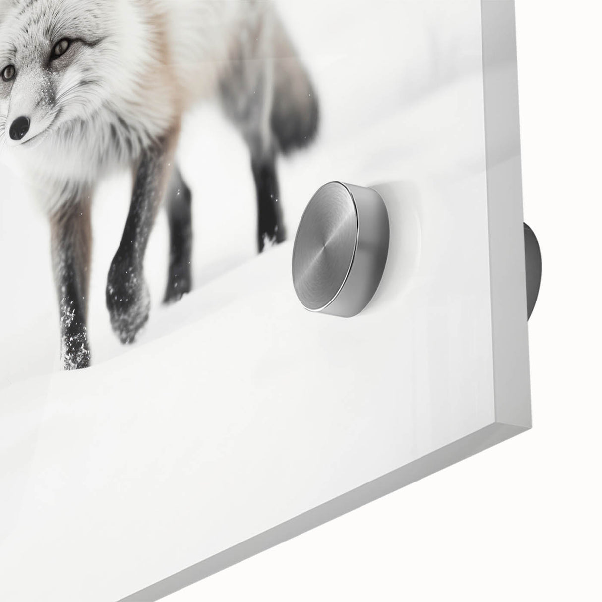 Close-up of a vibrant fox wall art design printed on acrylic glass, showcasing intricate details and rich colors, perfect for wildlife enthusiasts and modern decor.