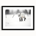 Framed wall art featuring a stunning fox design in a sleek black frame, showcasing vibrant colors and intricate details, perfect for wildlife enthusiasts and home decor.