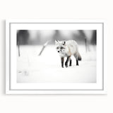 Framed wall art featuring a vibrant fox design, showcasing intricate details and rich colors against a white mat background, perfect for animal lovers' decor.
