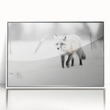 Framed acrylic wall art showcasing a vibrant fox design, set against a white background, offering a modern touch to wildlife-themed decor, ideal for animal lovers.