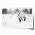 Vibrant rolled print of a fox design from the "Animals A Wild Life" wall art collection, showcasing intricate details and vivid colors, perfect for nature lovers.