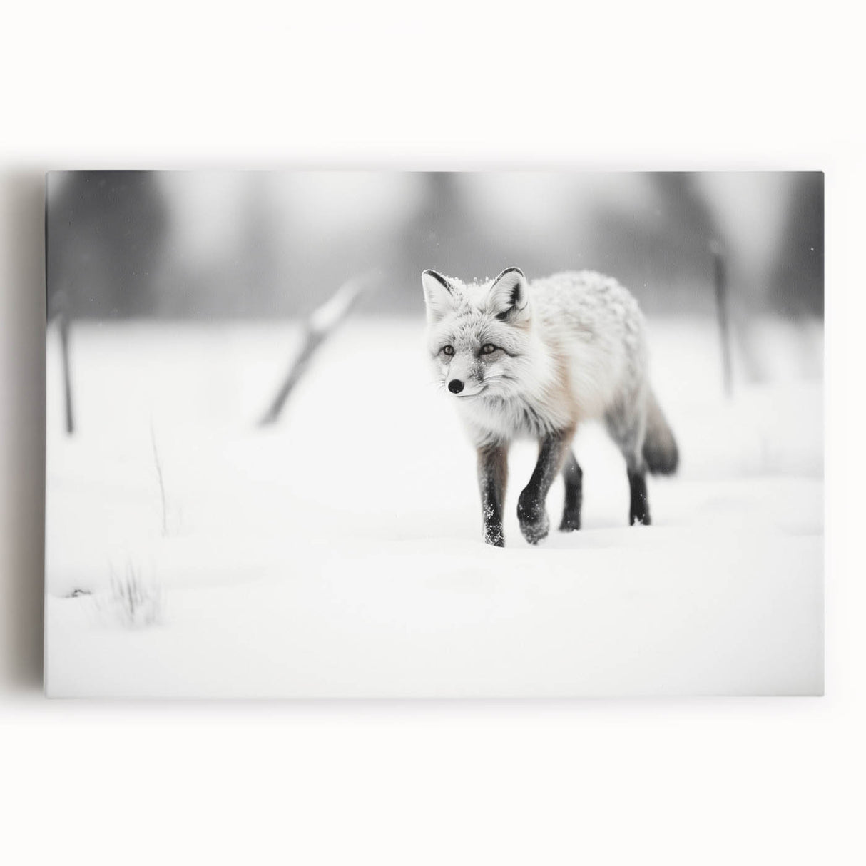 Stretched canvas wall art featuring a vibrant fox design set against a natural background, ideal for wildlife enthusiasts and home decor accents.