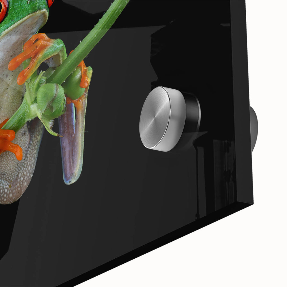 Close-up view of a vibrant frog design wall art piece, showcasing intricate details and bright colors on acrylic glass, perfect for nature-themed decor.