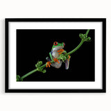 Black-framed wall art featuring a vibrant frog design, part of the "Animals: A Wild Life" collection, showcasing intricate details and colors, perfect for nature enthusiasts.