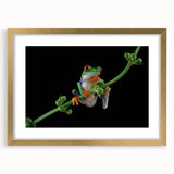 Framed wall art featuring a vibrant green frog design with a gold mat, ideal for nature-themed decor, adding a touch of wildlife to any room.