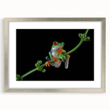 Framed wall art featuring a vibrant frog design from the 'Animals a Wild Life' collection, showcasing intricate details and a silver mat for a modern touch.