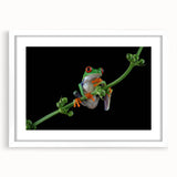 Framed wall art featuring a vibrant frog design from the "Animals: A Wild Life" collection, with a white mat and sleek frame, ideal for nature-themed decor.
