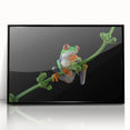 Framed acrylic wall art featuring a vibrant frog design in black, showcasing intricate details and colors, ideal for wildlife enthusiasts and modern decor.