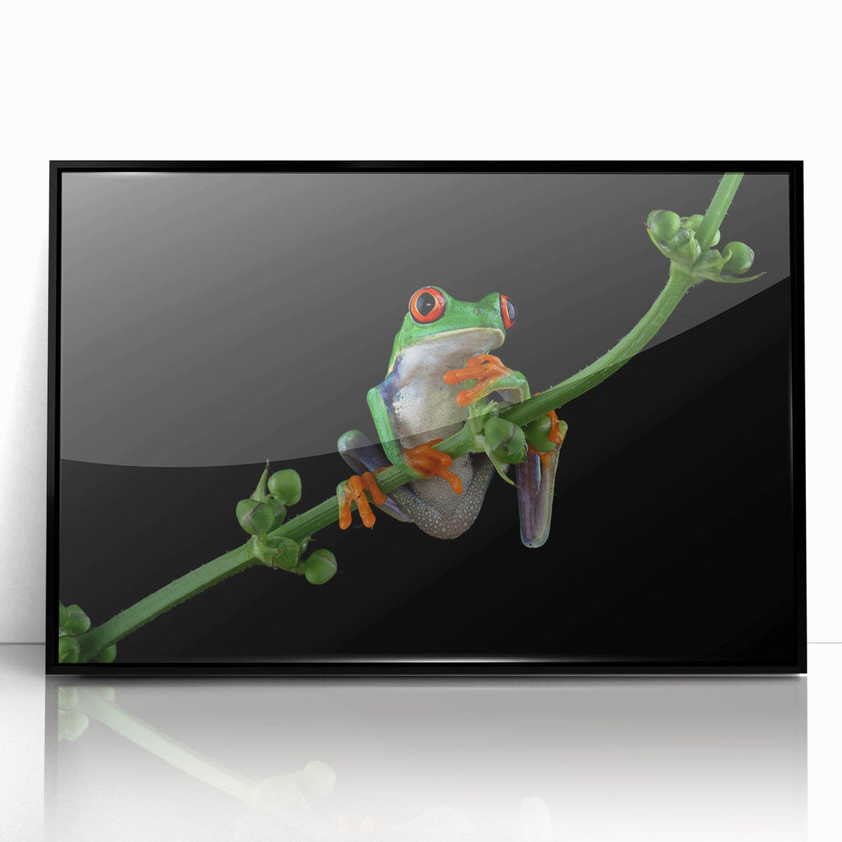Framed acrylic wall art featuring a vibrant frog design in black, showcasing intricate details and colors, ideal for wildlife enthusiasts and modern decor.