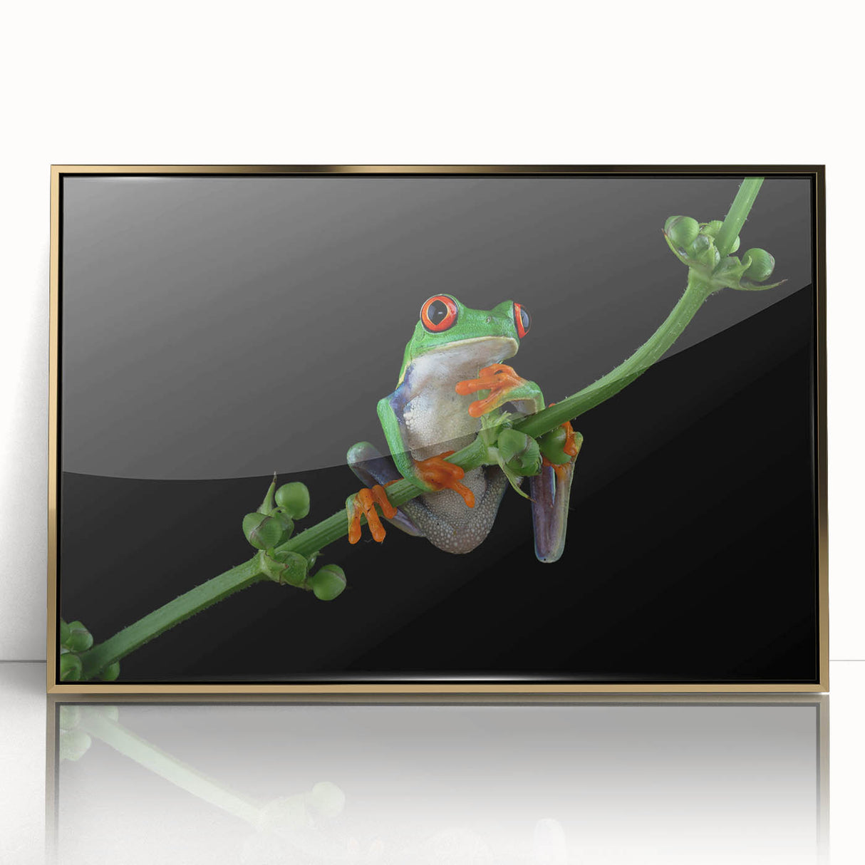 Framed wall art featuring a vibrant frog design with gold accents, showcasing a colorful depiction of wildlife in an artistic acrylic finish, perfect for home decor.