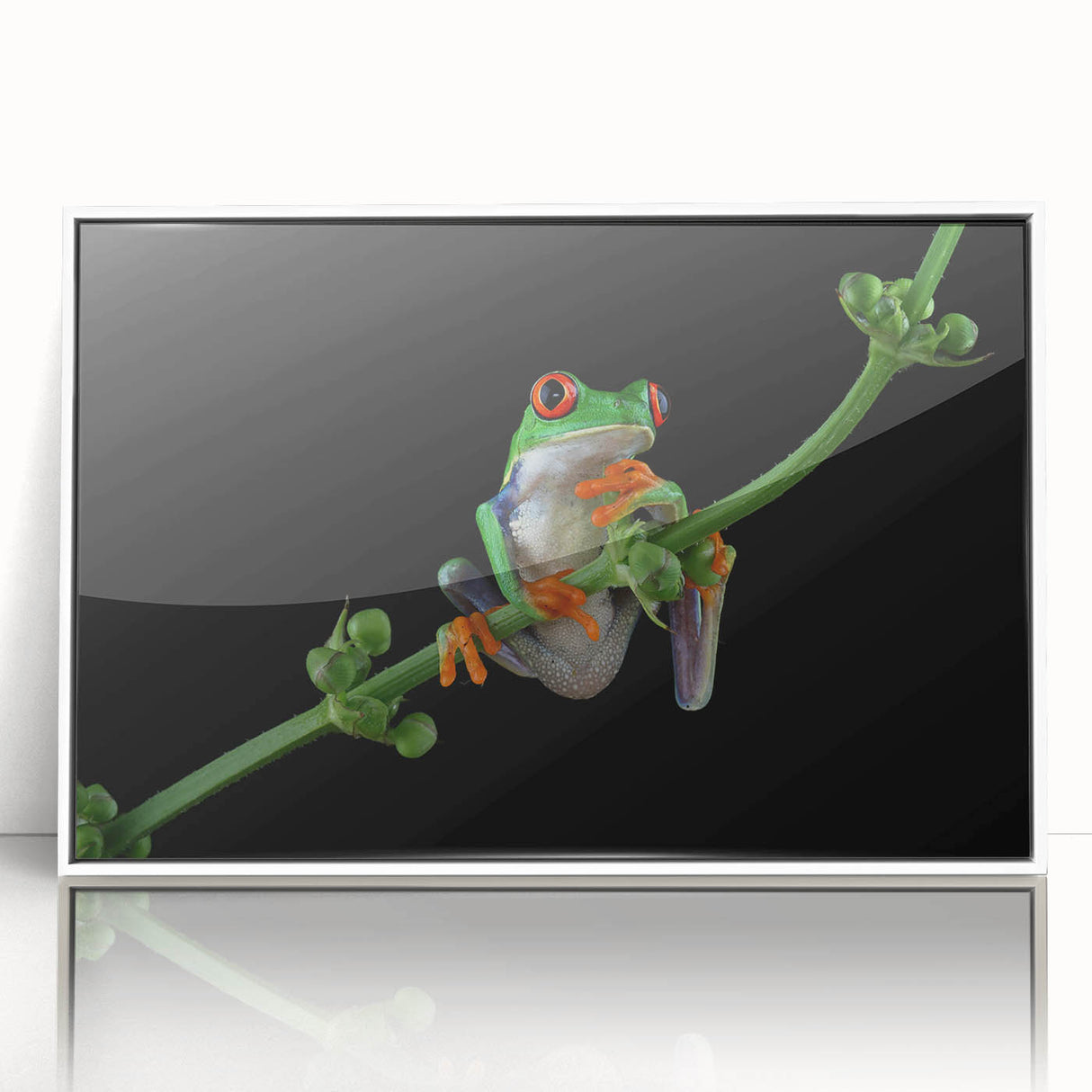 Framed wall art featuring a vibrant frog design from the Animals A Wild Life collection, displayed in a sleek white frame, ideal for nature-themed decor.