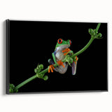 Framed wall art featuring a vibrant frog design from the Animals A Wild Life collection, set against a black background, showcasing intricate details and lively colors.