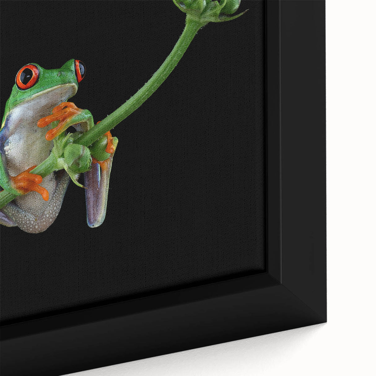 Close-up of a vibrant green frog wall art design on a framed canvas, showcasing intricate details and textures against a natural backdrop, perfect for wildlife enthusiasts.