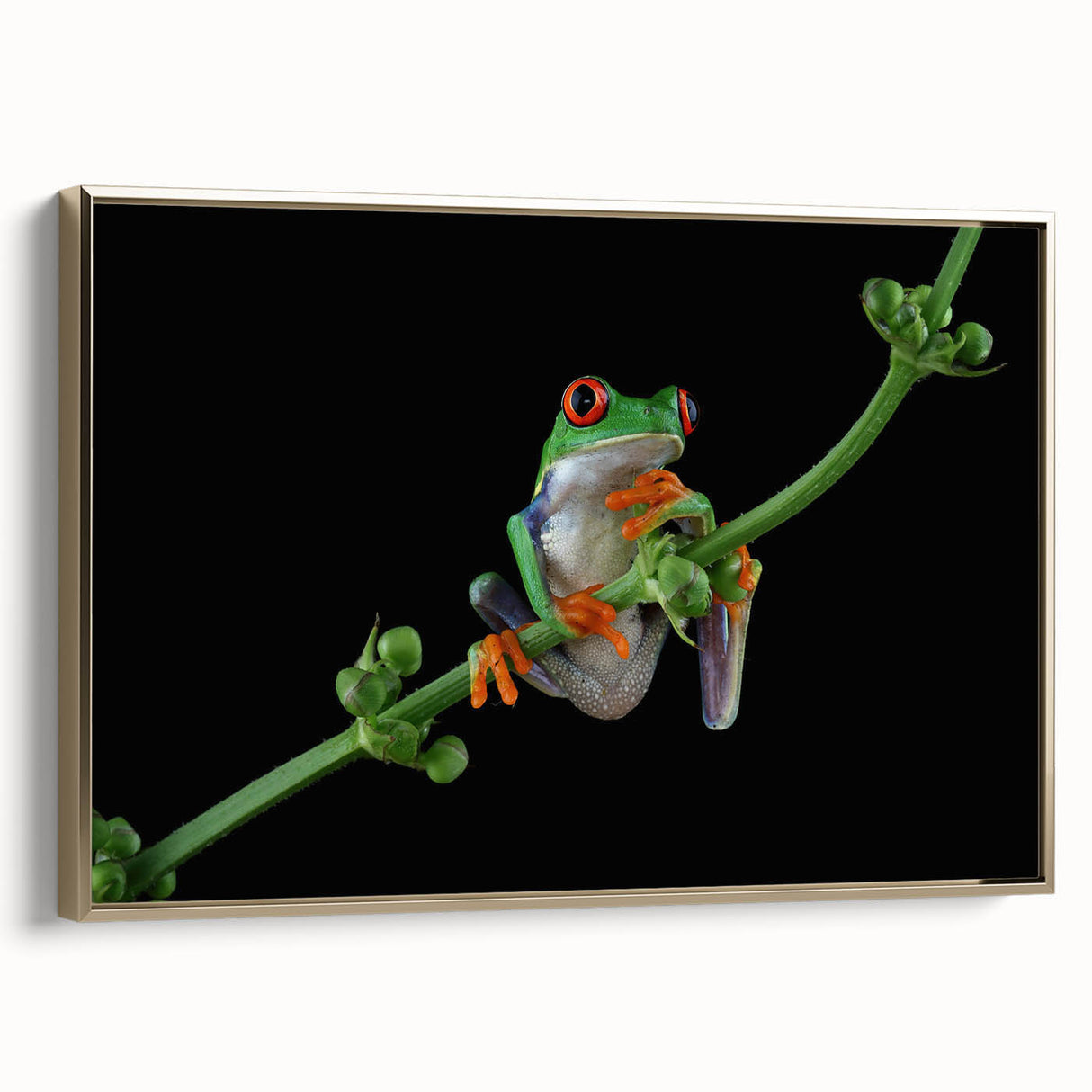 Framed wall art featuring a vibrant gold-accented frog design, showcasing intricate details and textures, ideal for nature-themed decor in modern interiors.