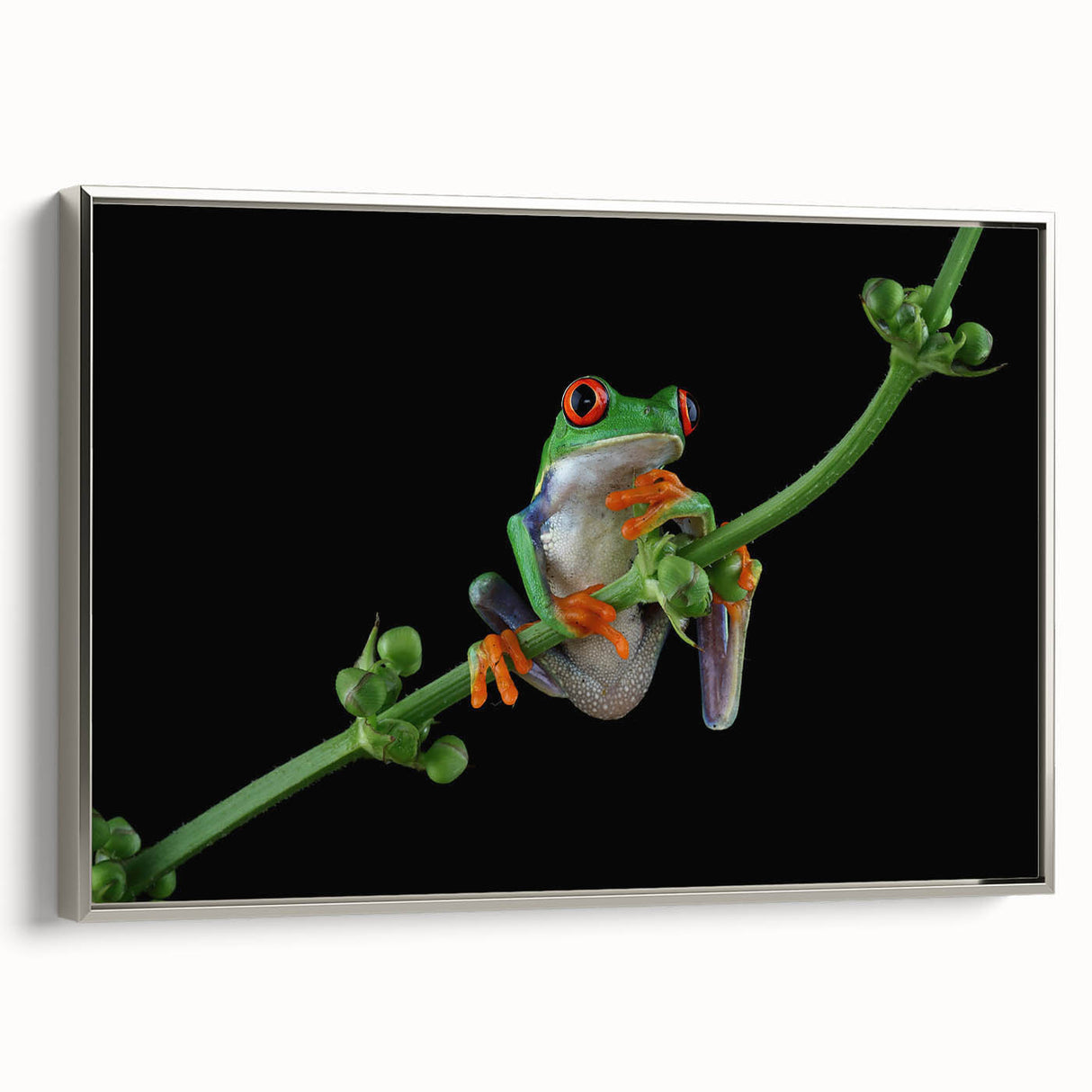 Framed wall art featuring a vibrant green frog design on textured canvas, displayed with a sleek silver frame, perfect for nature-inspired decor.