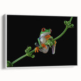 Framed wall art featuring a vibrant frog design, showcasing colorful details against a white background, ideal for nature lovers and home decor enthusiasts.