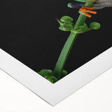 Vibrant rolled canvas wall art featuring a colorful frog design, ideal for animal lovers and nature enthusiasts. Perfect for home decor or art collection.