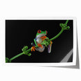 Vibrant wall art print featuring a colorful frog design, showcasing detailed illustrations of tropical foliage, perfect for animal lovers and nature enthusiasts.