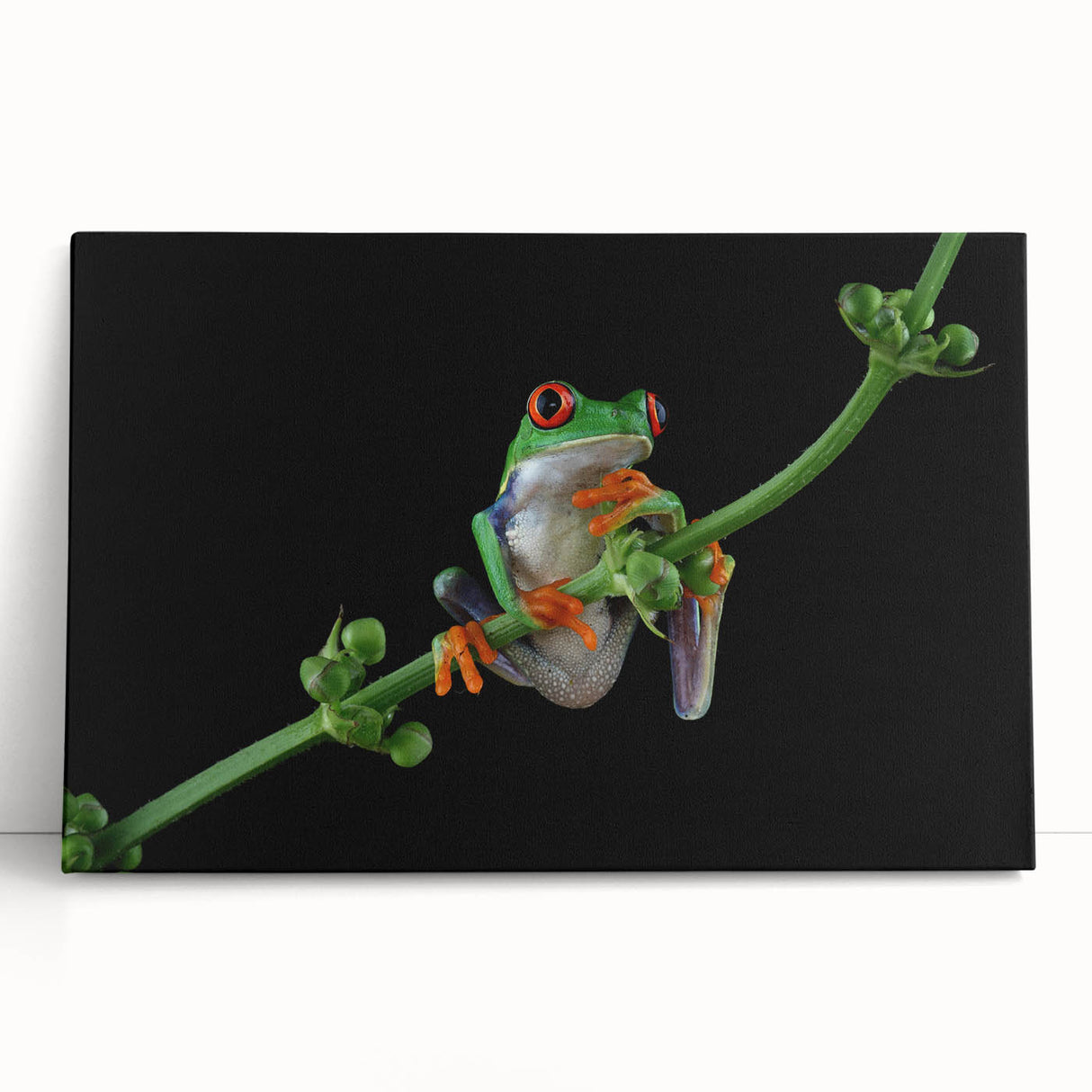 Vibrant green frog wall art print on stretched canvas, featuring intricate details and bold colors, perfect for nature-themed home decor or wildlife enthusiasts.