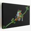 Vibrant stretched canvas wall art featuring a colorful frog design, showcasing intricate details and bold hues, perfect for nature-inspired decor.