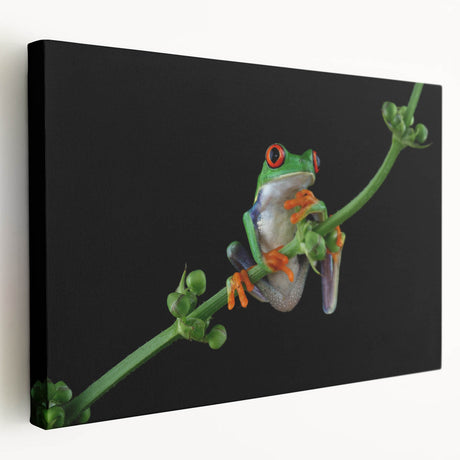 Vibrant stretched canvas wall art featuring a colorful frog design, showcasing intricate details and bold hues, perfect for nature-inspired decor.