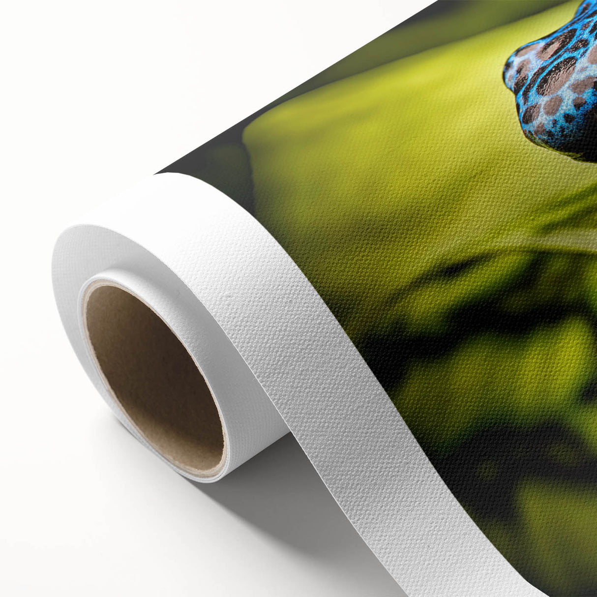 Colorful rolled canvas wall art featuring a vibrant frog design, showcasing intricate details and textures, perfect for wildlife enthusiasts and home decor.
