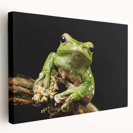 Colorful frog wall art design on stretched canvas, showcasing vibrant greens and yellows, perfect for nature lovers. Ideal for home decor or gifting.