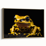 Framed wall art featuring a vibrant frog design set against a gold background, showcasing intricate details and vivid colors, perfect for nature-themed decor.